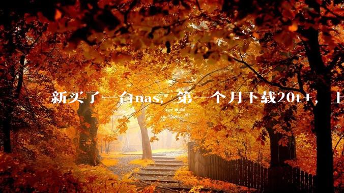 新买了一台nas，第一个月下载20t+，上传5+，不会被网警盯上吧?