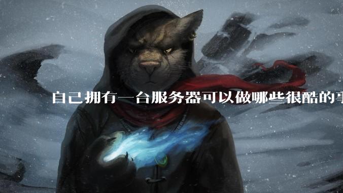自己拥有一台服务器可以做哪些很酷的事情？
