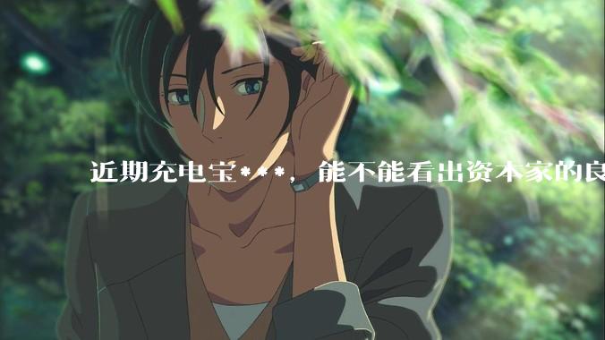 近期充电宝***，能不能看出资本家的良心坏了？