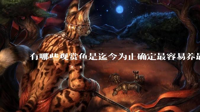有哪些观赏鱼是迄今为止确定最容易养最不容易死的？