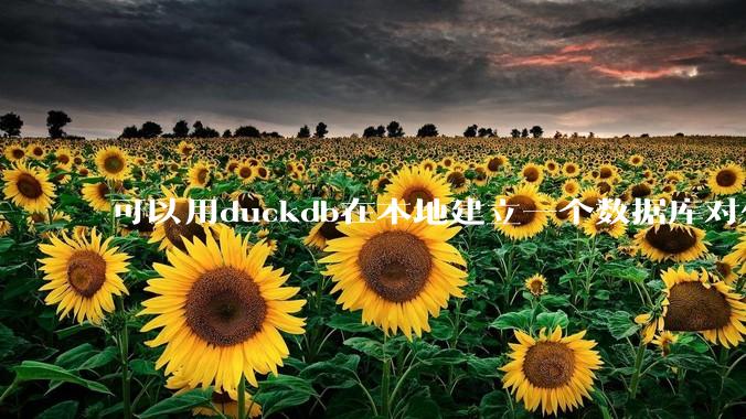 可以用duckdb在本地建立一个数据库对外服务吗？